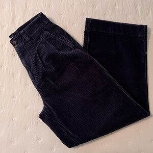 Madewell pleated wide leg corduroy pants